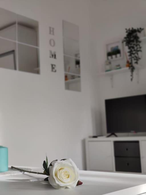 Apartamento-estudio Benalsun Pueblo Evita